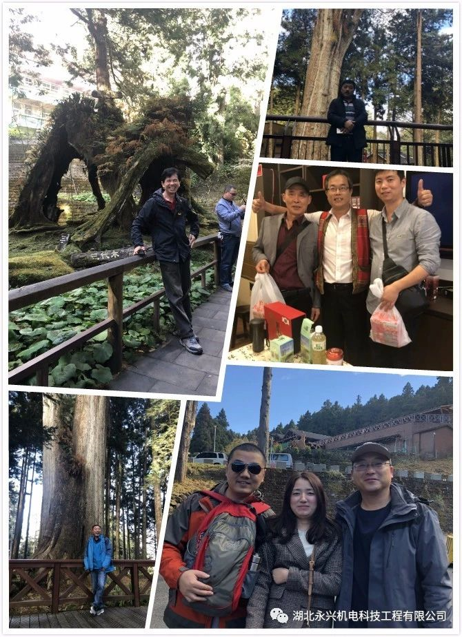 1553503650118539.png 1553503650118539.png