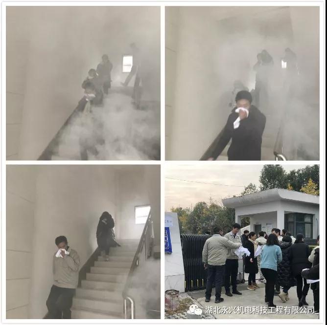 1585623774221613.jpg 2.jpg